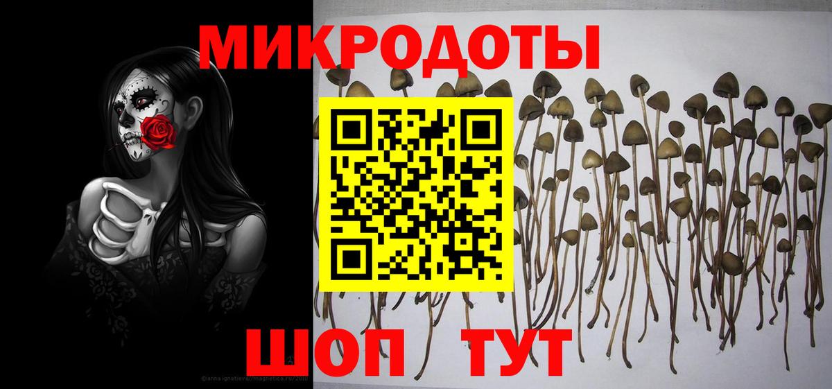 Псилоцибиновые грибы мухоморы  Галлюциногенные грибы ЛСД  Вход с VPN  Щёлково 